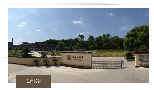 廣東青云山藥業(yè)